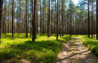 Scenariusz lekcji "Wakacyjne wspomnienia"