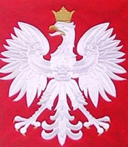 Gra w reprezentacji Polski